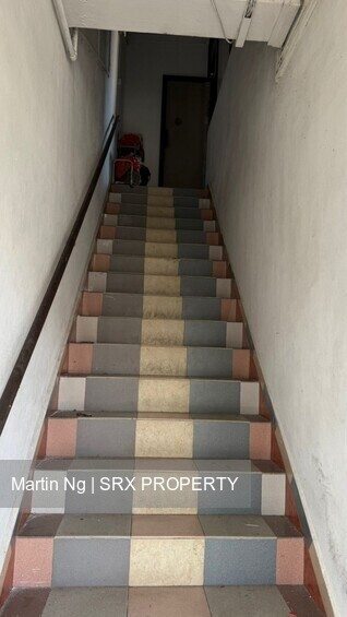 Rare Freehold 2 Storey Shophouse For Sale (D14), Shop House #533564551